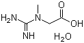 一水肌酸 6020-87-7