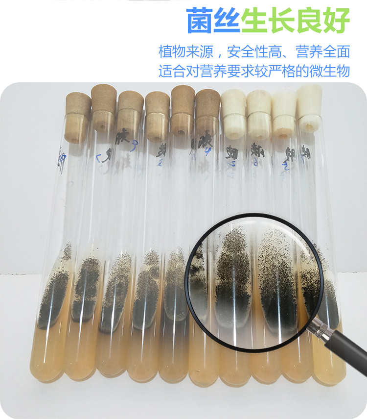 大豆蛋白胨切_06.jpg