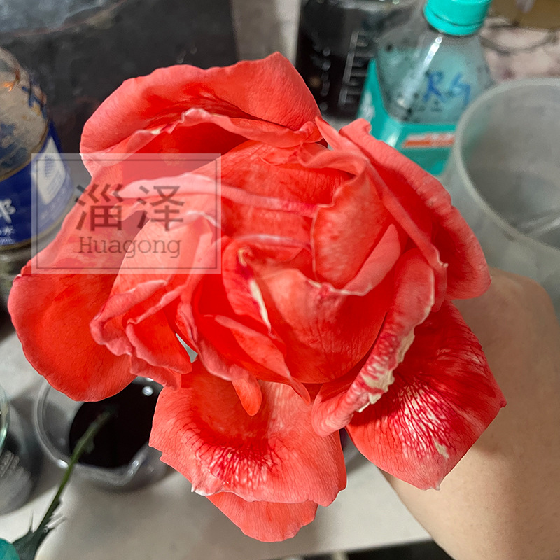é¦å¾é²è±1