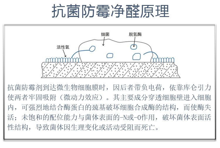 三胺胶抗菌剂M07-M30-M60-Q02-B03-B68_05.jpg
