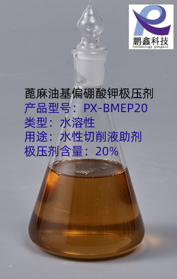 BMEP20 (1).jpg